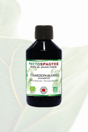 Phytospagyrie Chardon-Marie Bio