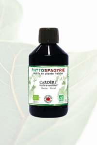 Phytospagyrie Cardère Bio