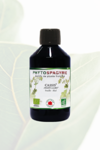 Phytospagyrie Cassis Bio